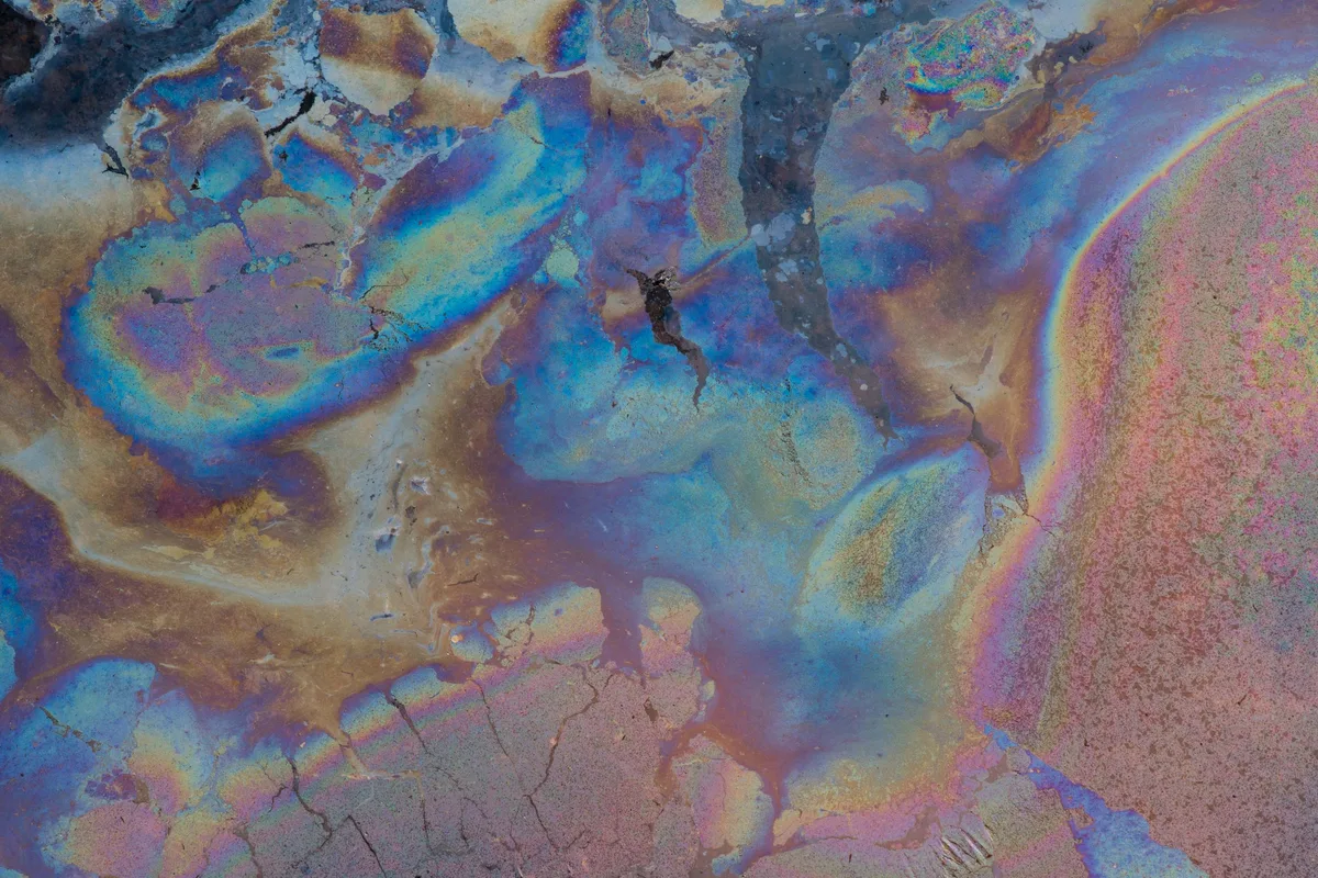 Pflanzenöl einer Wasserminze. Stünzi hat ein geschultes Auge für Naturphänomene. Die Originalfotografien von Stünzis Naturfotografie.